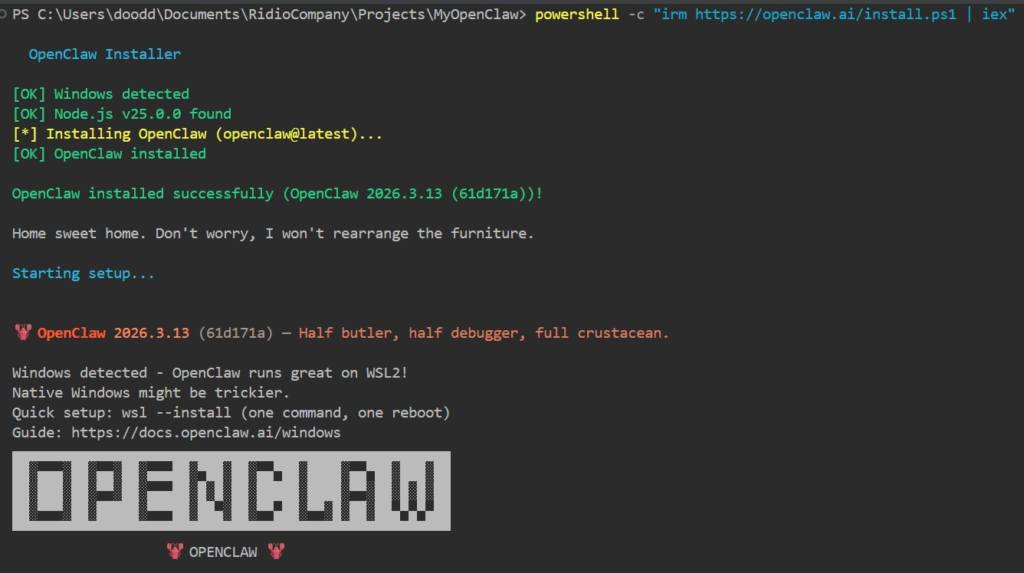 OpenClaw Setup 